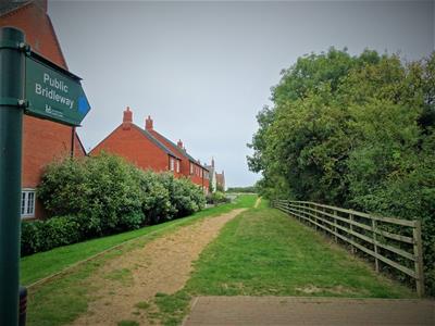 Picture 25
